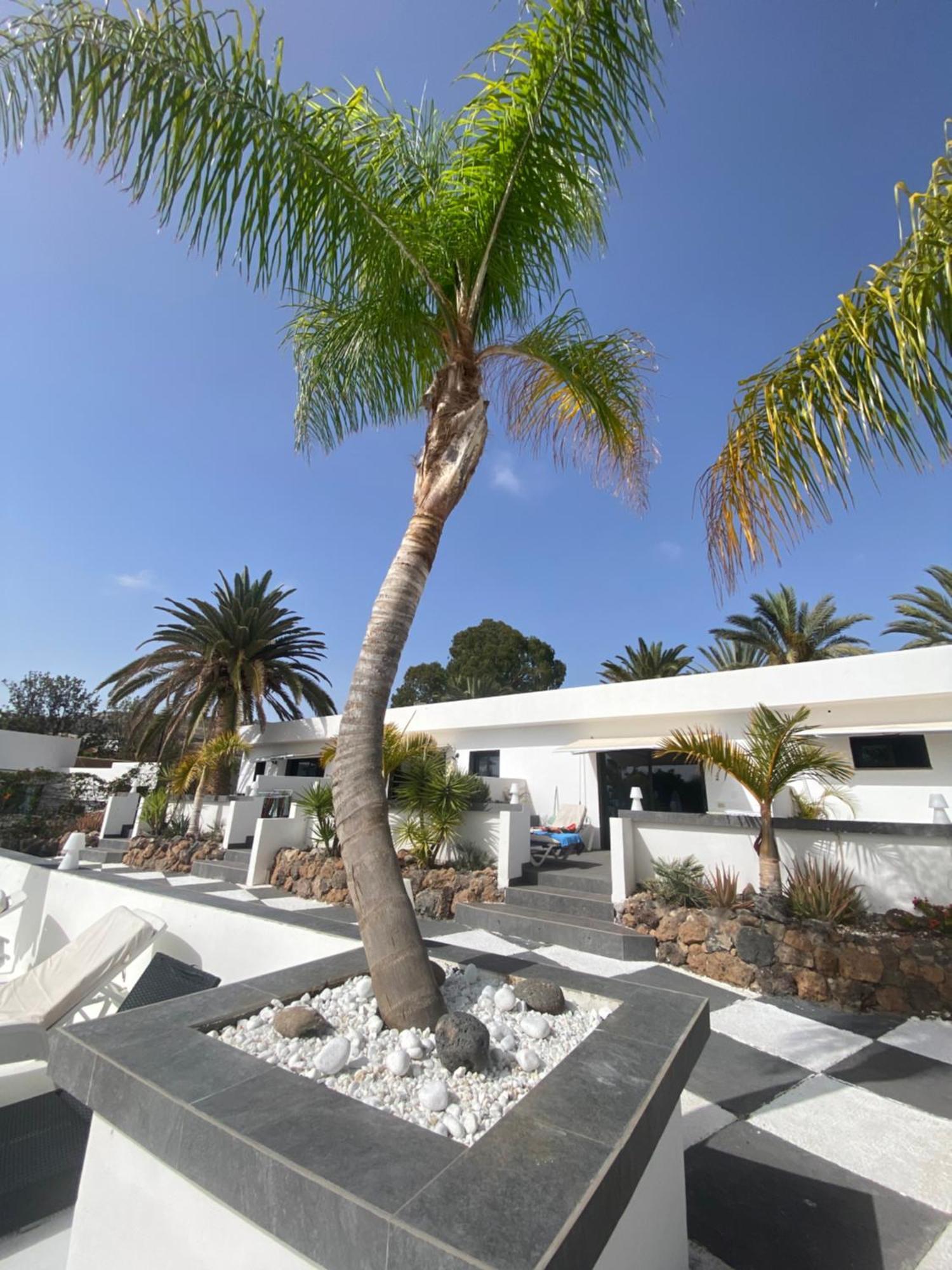 Paraiso Villas 帕莱索海滩 外观 照片