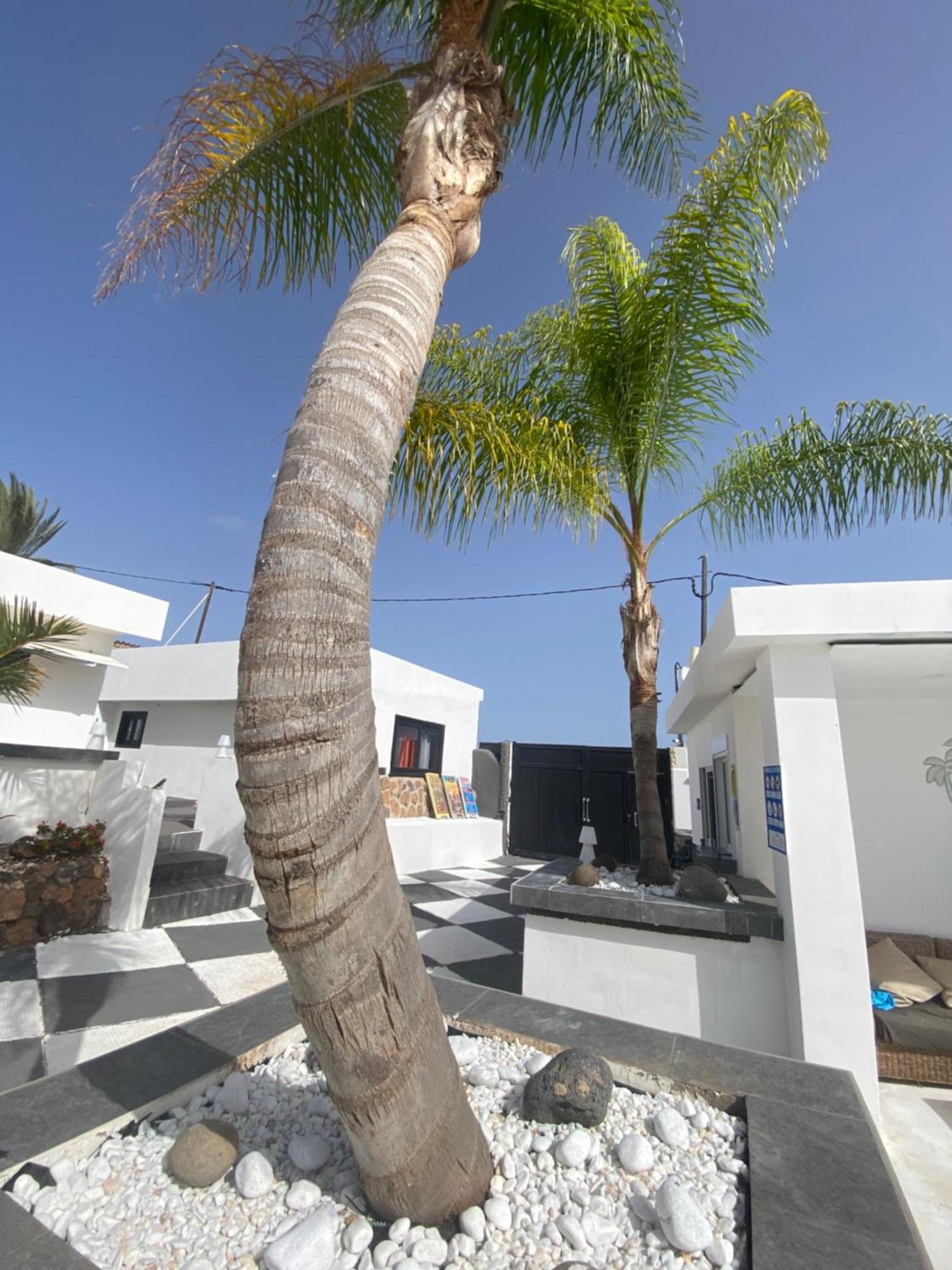 Paraiso Villas 帕莱索海滩 外观 照片