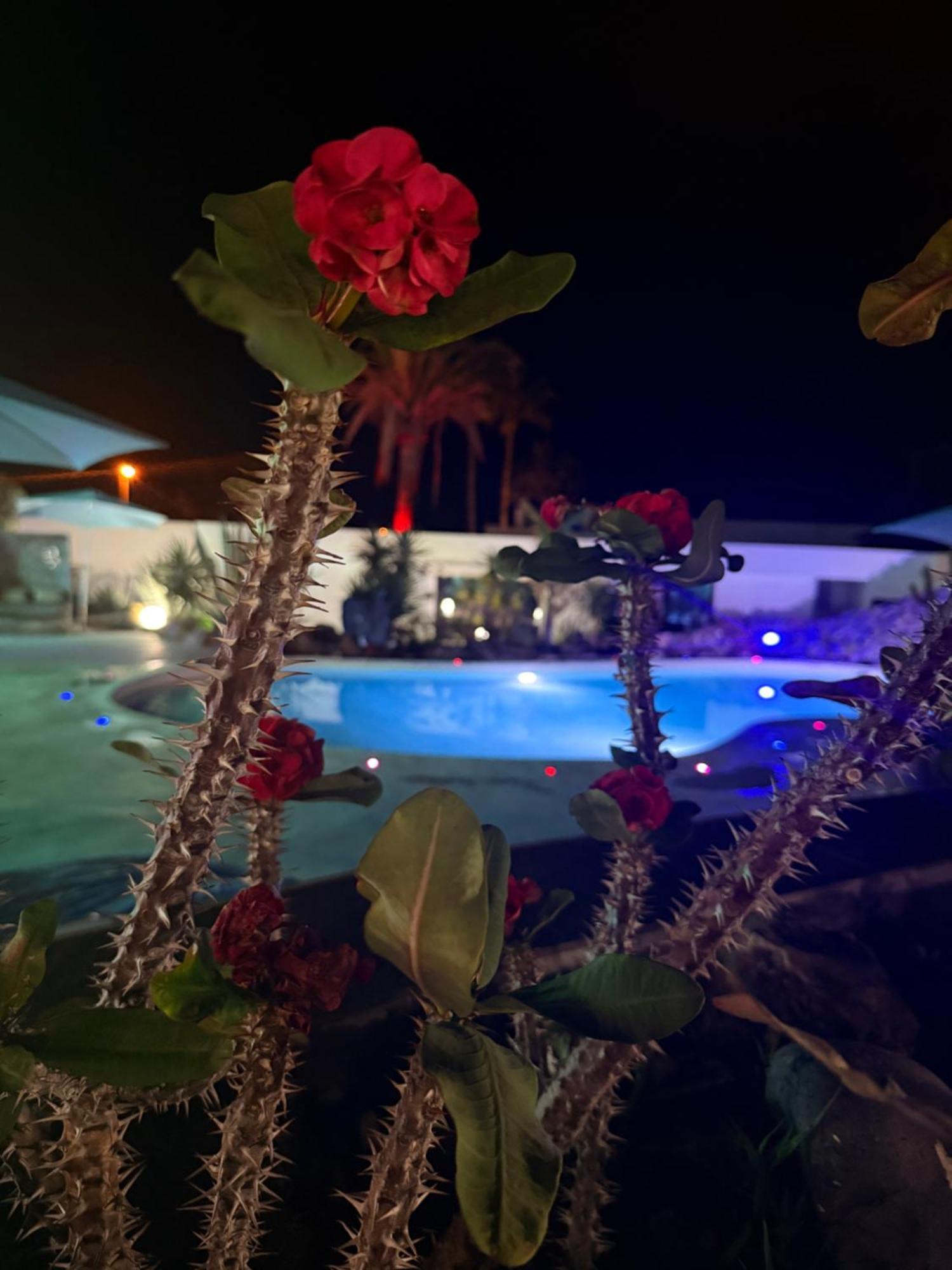 Paraiso Villas 帕莱索海滩 外观 照片